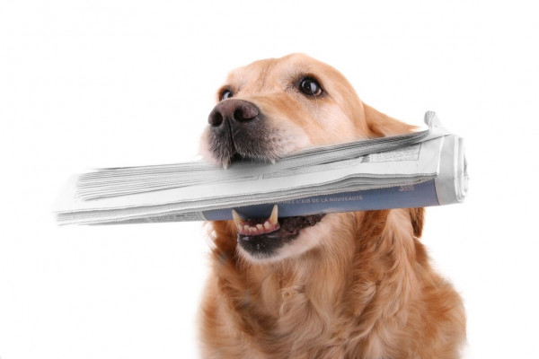 Самарская область победила в национальном конкурсе достопримечательностей России - 2025